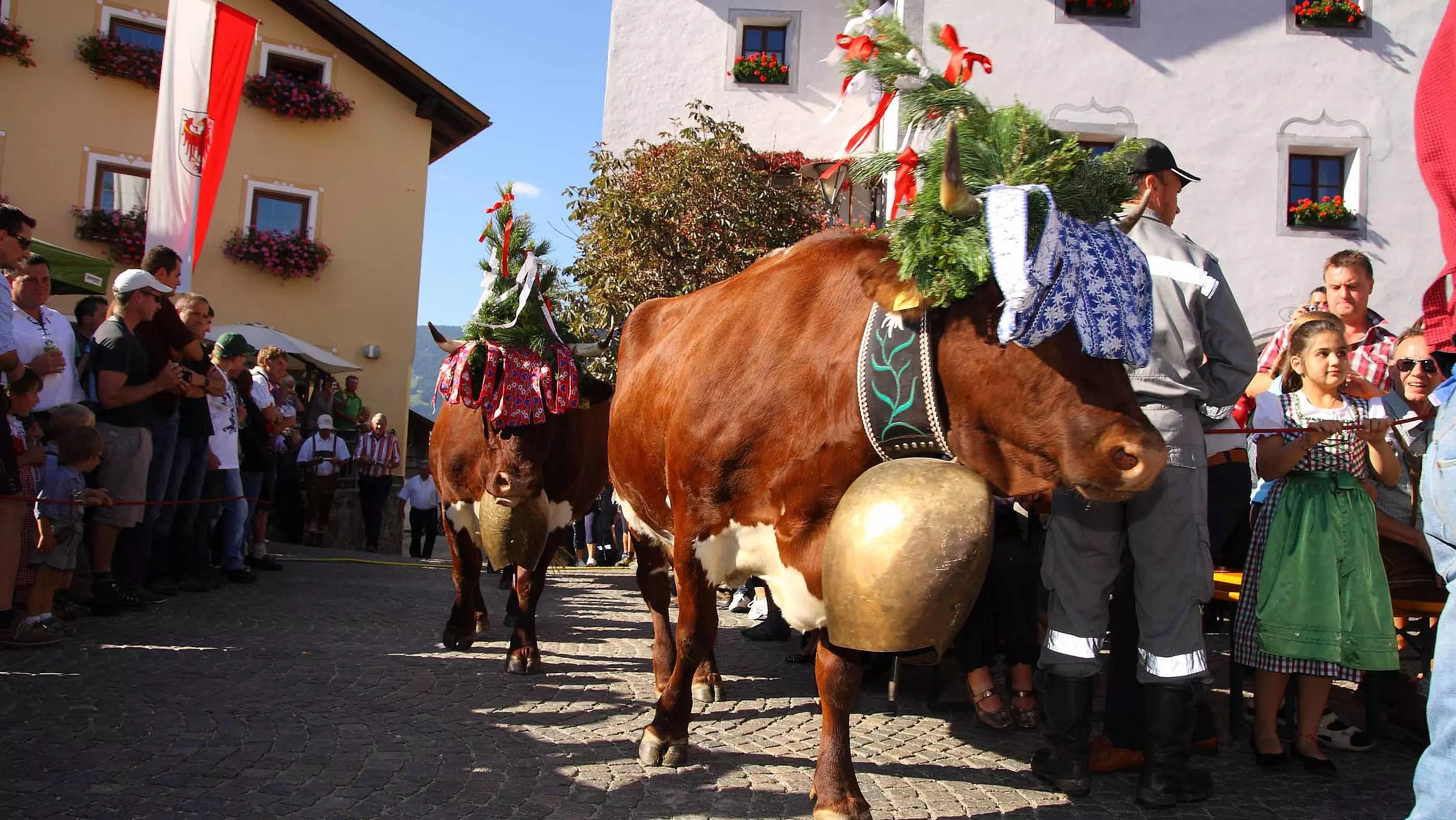 Almabtrieb Ottobre 2025 a Laion Almabtrieb Ottobre 2025 a Laion