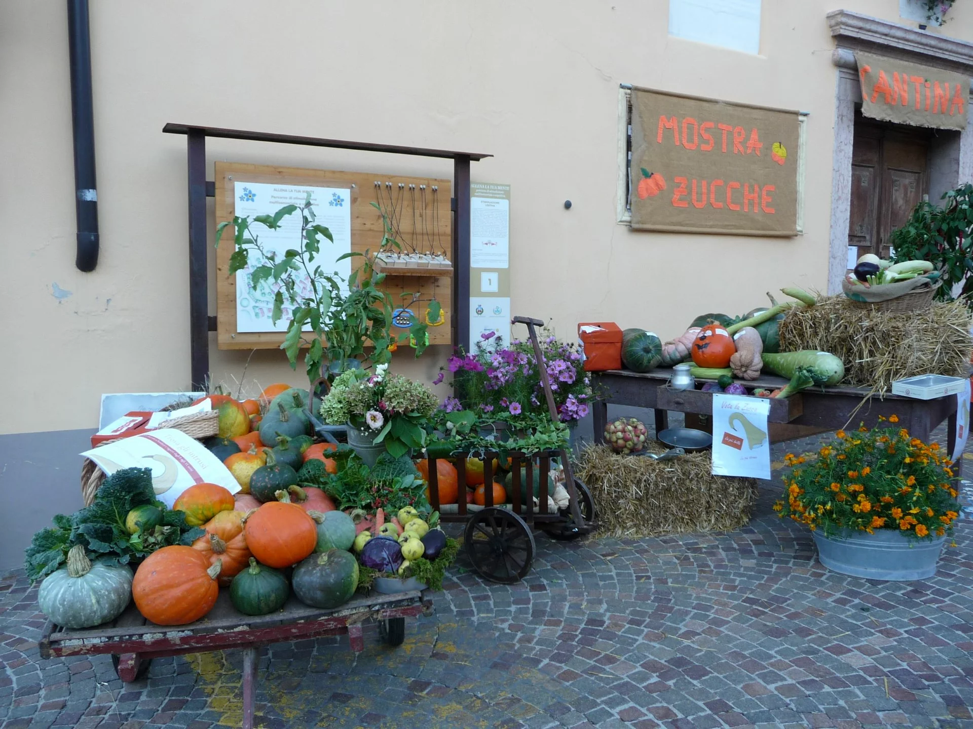 Festa della Zucca e degli Ortaggi Invernali Ottobre 2025 a Vallelaghi Festa della Zucca e degli Ortaggi Invernali Ottobre 2025 a Vallelaghi
