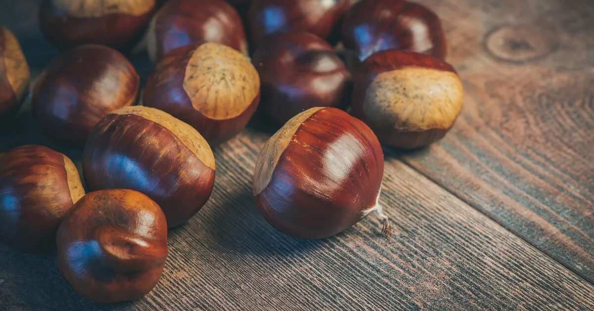 Naturalmente… non solo castagne Ottobre 2025 a Terzolas Naturalmente… non solo castagne Ottobre 2025 a Terzolas