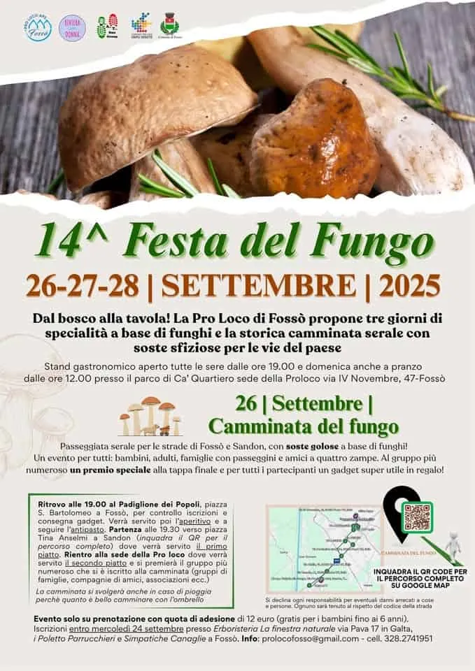 Festa del Fungo Settembre 2025 a Fossò Festa del Fungo Settembre 2025 a Fossò