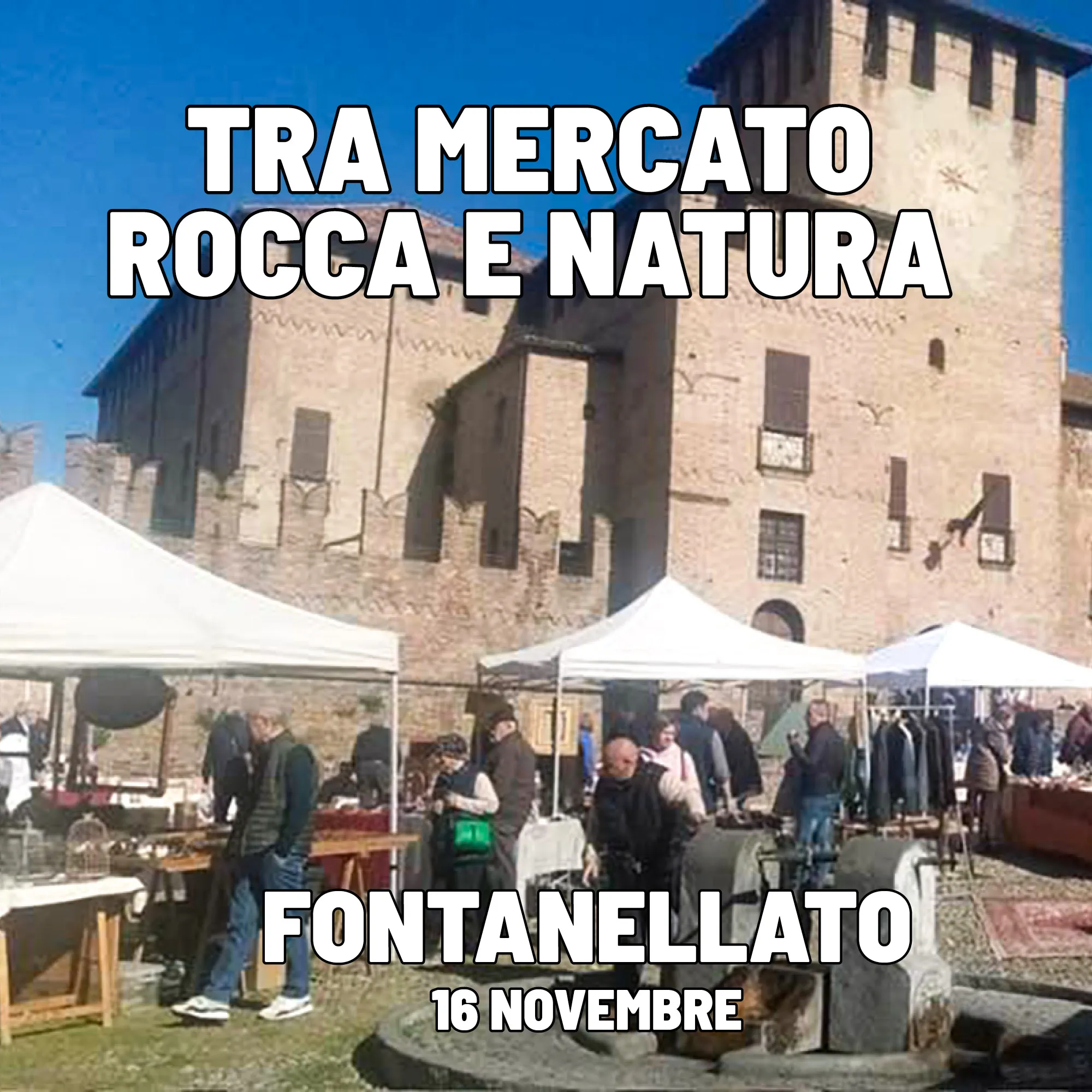 Tra Mercato, Rocca e Natura Novembre 2025 a Fontanellato Tra Mercato, Rocca e Natura Novembre 2025 a Fontanellato