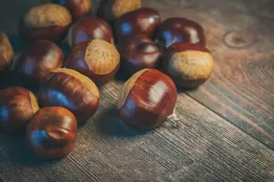 Sagra delle Castagne Novembre 2026 a Terelle