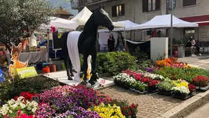 Fiera dei Fiori di Piancogno: eccellenza botanica in Val Camonica