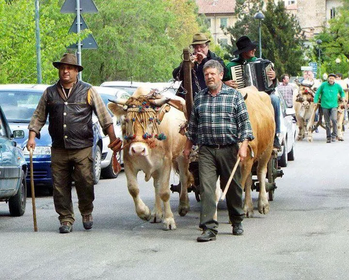 Varzi in Fiera: tradizione e commercio nel cuore dell'Oltrepo Pavese Varzi in Fiera: tradizione e commercio nel cuore dell'Oltrepo Pavese