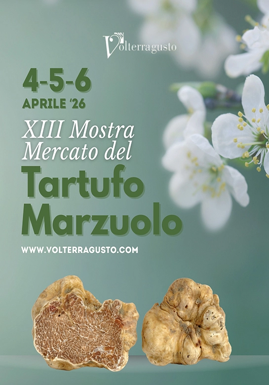 XIII Mostra Mercato del Tartufo Marzuolo a Volterra XIII Mostra Mercato del Tartufo Marzuolo a Volterra