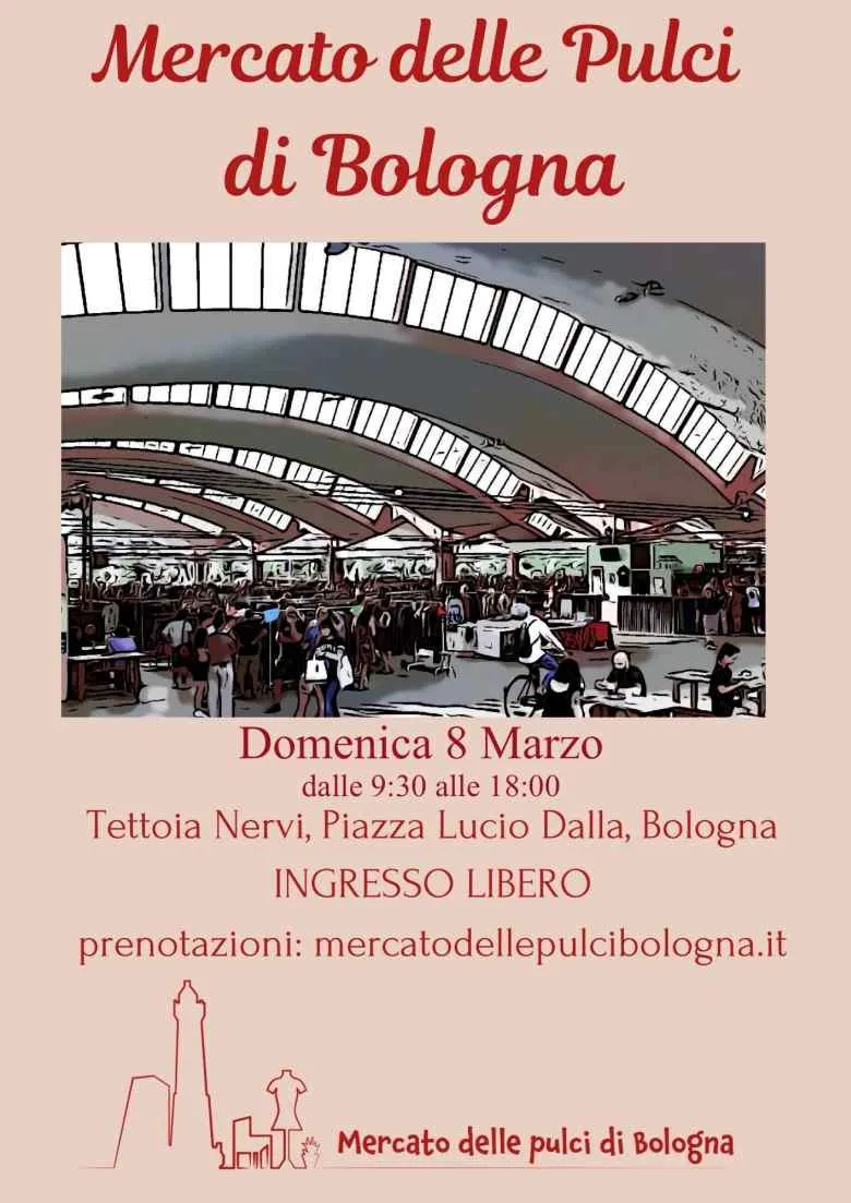 Mercato delle Pulci di Bologna: appuntamento con il vintage in Piazza Lucio Dalla Mercato delle Pulci di Bologna: appuntamento con il vintage in Piazza Lucio Dalla