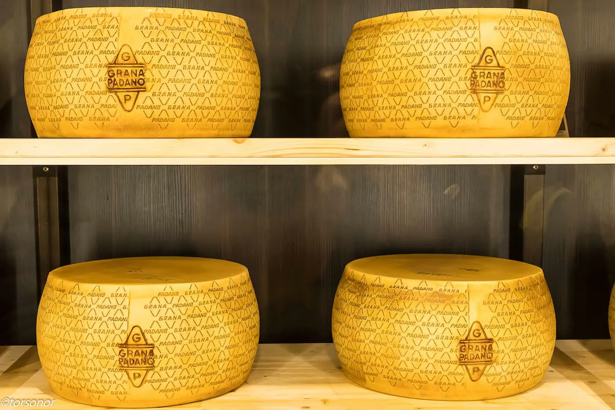 Formaggi & Sorrisi 2026: L'eccellenza casearia italiana a Cremona Formaggi & Sorrisi 2026: L'eccellenza casearia italiana a Cremona