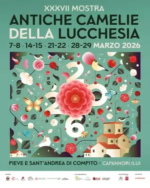 XXXVII Mostra Antiche Camelie della Lucchesia: l'appuntamento botanico del 2026