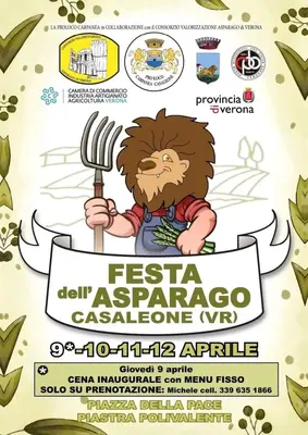 Festa dell&rsquo;Asparago a Casaleone: sapori della tradizione veronese