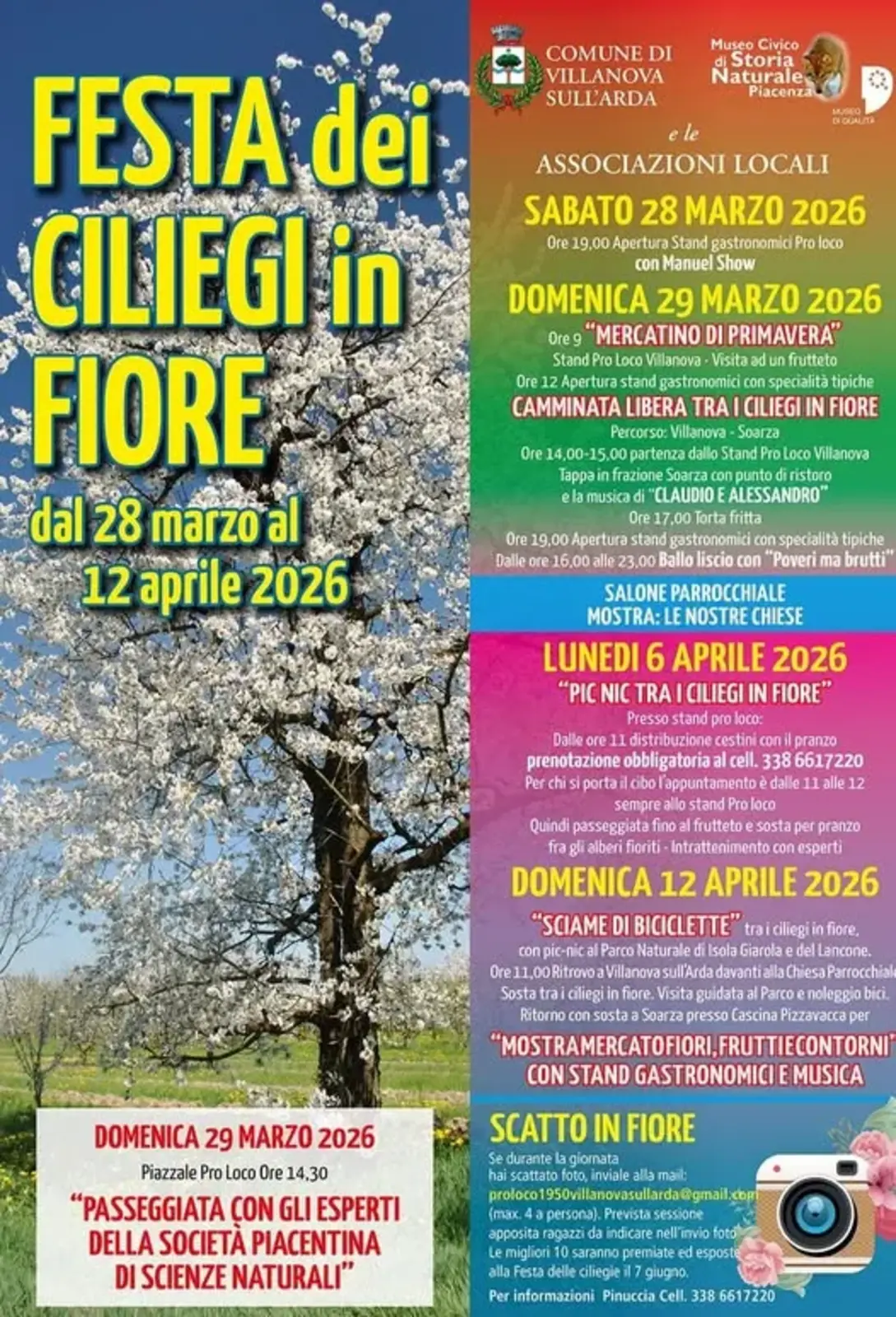 Festa dei Ciliegi in Fiore 2026 a Villanova sull'Arda Festa dei Ciliegi in Fiore 2026 a Villanova sull'Arda