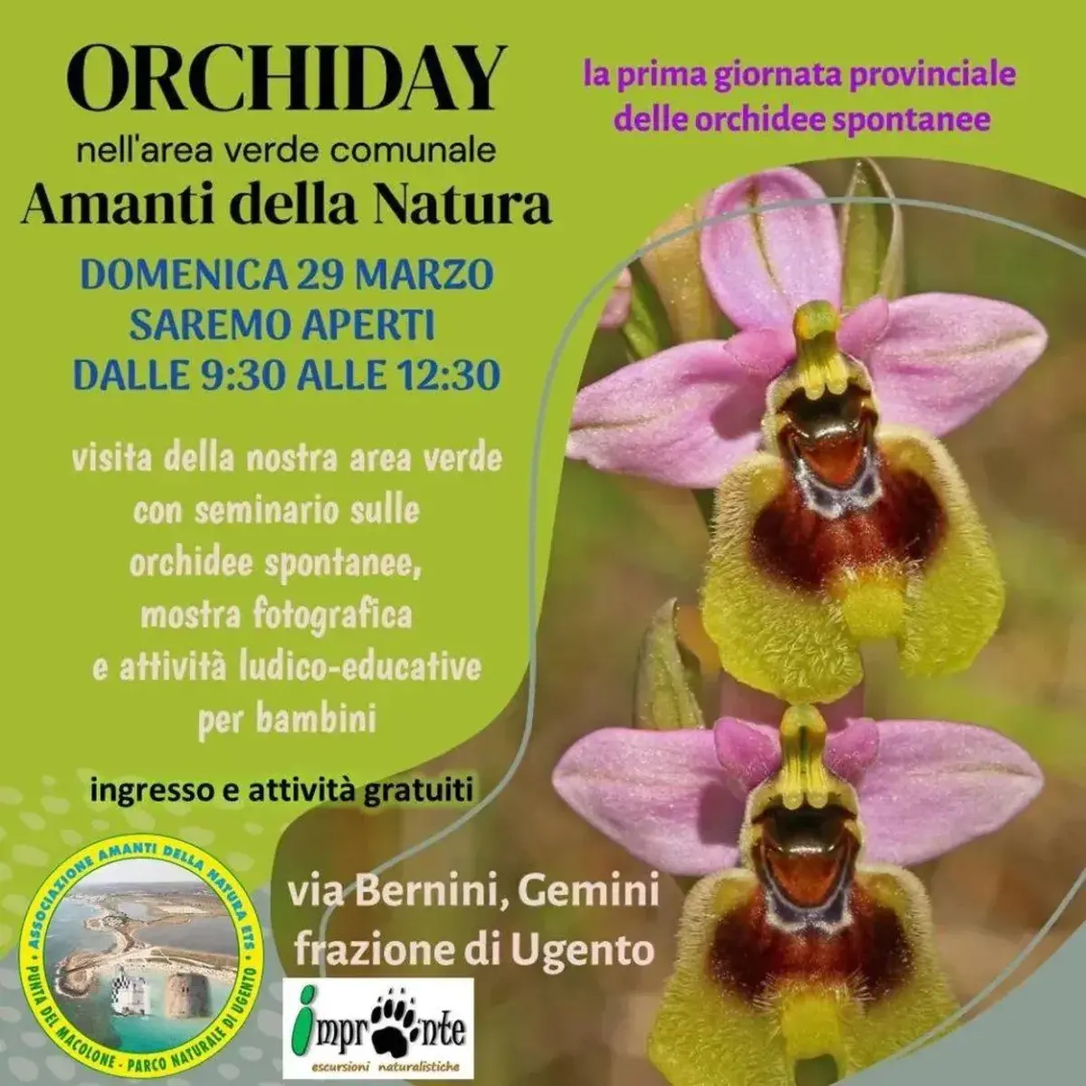 Orchid Day 2026: celebrazione delle orchidee spontanee nel Salento Orchid Day 2026: celebrazione delle orchidee spontanee nel Salento