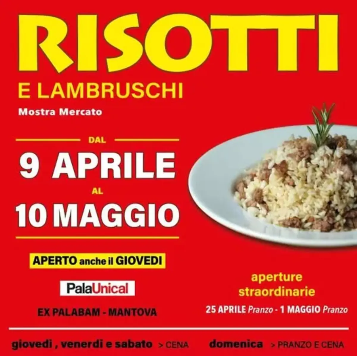 Risotti e Lambruschi 2026: la celebrazione dell'eccellenza gastronomica a Mantova Risotti e Lambruschi 2026: la celebrazione dell'eccellenza gastronomica a Mantova