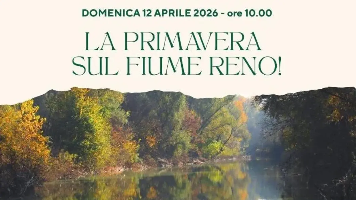 La primavera sul fiume Reno: un'immersione naturale a Calderara La primavera sul fiume Reno: un'immersione naturale a Calderara