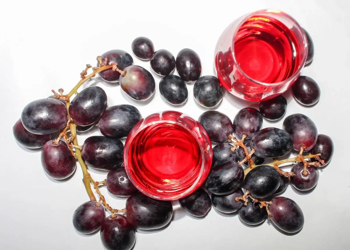 Mostra dei Vini di Basalghelle 2026: eccellenze enologiche nel cuore del Veneto Mostra dei Vini di Basalghelle 2026: eccellenze enologiche nel cuore del Veneto