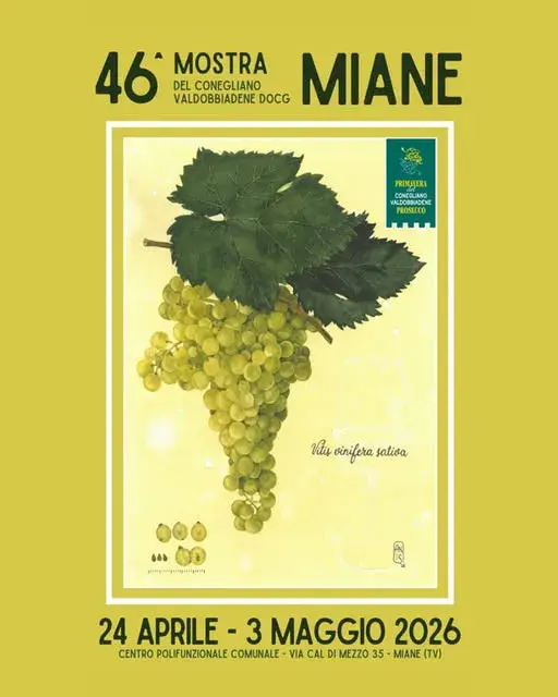 46ª Mostra del Conegliano Valdobbiadene Prosecco Superiore DOCG di Miane 46ª Mostra del Conegliano Valdobbiadene Prosecco Superiore DOCG di Miane