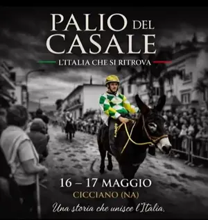 Palio del Casale di Cicciano: tradizioni e storia nel cuore della Campania