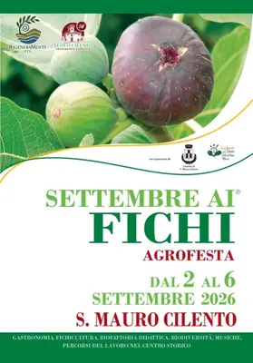 Festa del Fico Bianco del Cilento: eccellenze e tradizioni a San Mauro Cilento