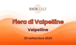 F&eacute;a de Vapeleunna: la tradizione millenaria nel cuore della Valpelline