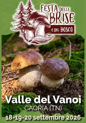Festa delle Brise e del Bosco: la cultura micologica a Caoria