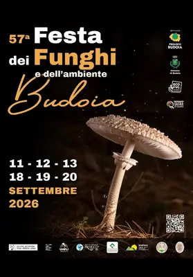 57&ordf; Festa dei Funghi e dell&rsquo;Ambiente: tradizione e natura a Budoia