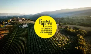 Frantoi Aperti in Umbria: la 29&ordf; edizione celebra la cultura dell'olio